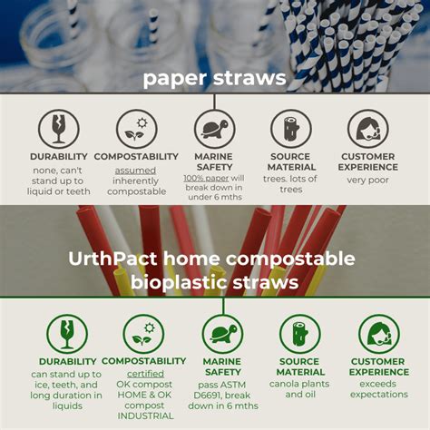 Paper Straws vs. UrthPact Home Compostable Straws