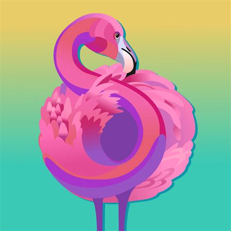 Pink Flamingo Vector Illustration 578367 Vector Art At Vecteezy