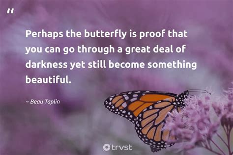 Beautiful Butterfly Quotes Inspiring Appreciation