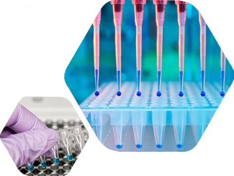 Novas Bio Life Science Consumables Pcr