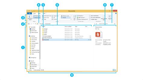 The File Explorer Window