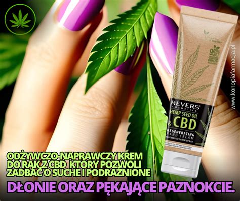 Krem Do R K Z Olejem Konopnym Z Cbd Revers Cosmetics Ml