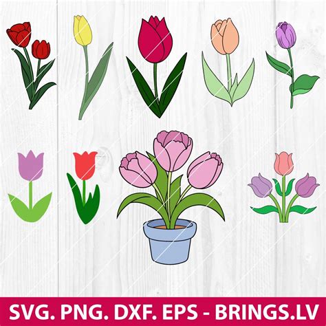 Tulip SVG Tulips SVG Tulip Png Tulips Png Cricut Tulips Tulip