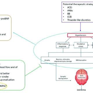 Schematic representation of the pathophysiological mechanisms... | Download Scientific Diagram