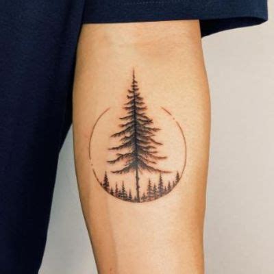 Top More Than 83 Evergreen Trees Tattoo Super Hot In Coedo Vn