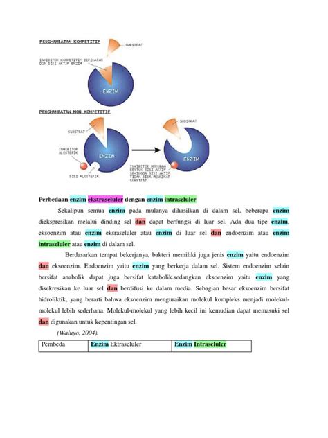 Pdf Perbedaan Enzim Ekstraseluler Dengan Enzim Intraseluler Dokumen