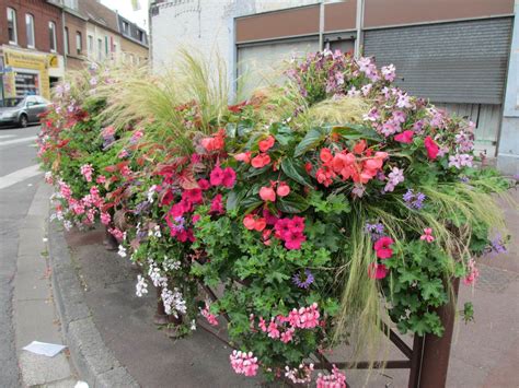 Fleurs Pour Vos Jardini Res Plaisir Jardin