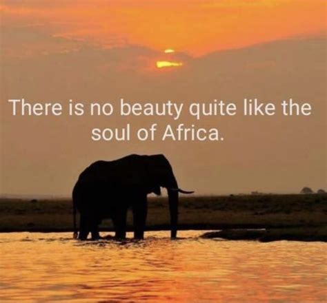 Pin By Jill Sabrowski On Nancy Africa Quotes South Africa Quotes African Quotes