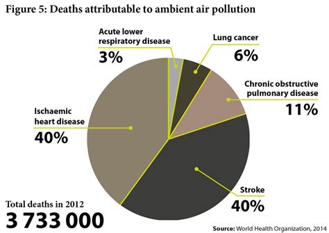 Air Pollution Causes Graph