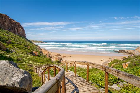 Shutterstock 508332541 Robberg Route Des Jardins En Afrique Du Sud