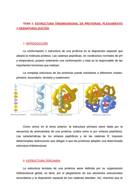 Tema Estructura Terciaria Y Cuaternaria De Las Prote Nas