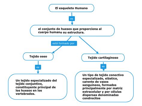 El Esqueleto Humano Mind Map