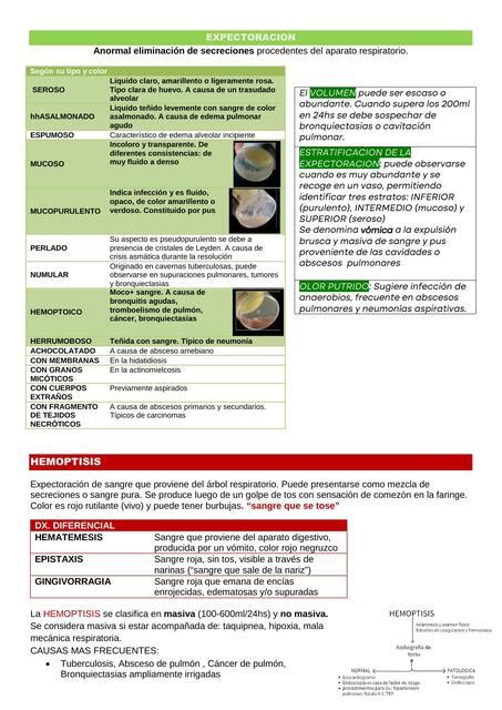 Aparato Respiratorio Sweet Study UDocz