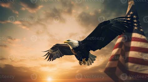 Eagle With American Flag Flies In Freedom At Sunset Vintage Toned