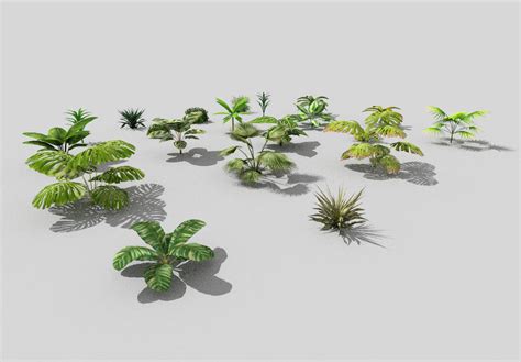 3d Model 20 Low Poly Tropical Foliage Pack Vr Ar Low Poly Cgtrader