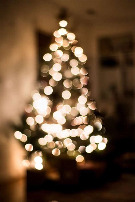 NIGHT LIGHTS CHRISTMAS TOUR - Place Of My Taste