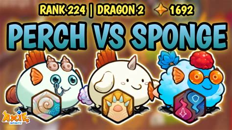 WHO IS THE BEST PERCH TEAM BUILD VS SPONGE TEAM BUILD AXIE ORIGIN