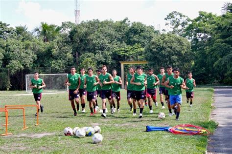 Tarum Am J Tem Definido Base Titular E Esquema T Tico Para O Estadual