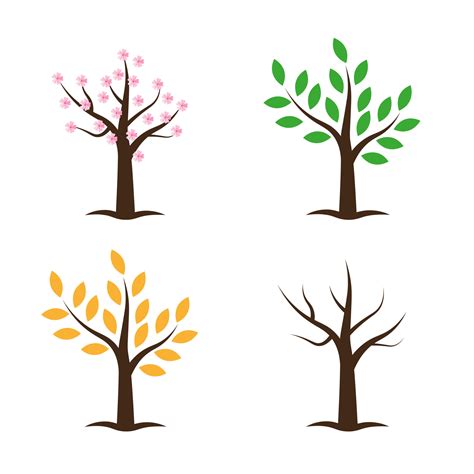 Tree Collection In Four Seasons Spring Summer Autumn Winter Vector