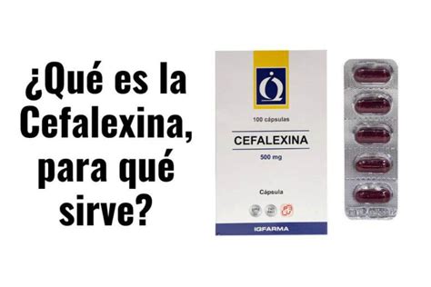 Para Qu Sirve La Cefalexina Usos Precio Y Efectos