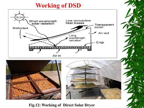 Greenhouse Drying