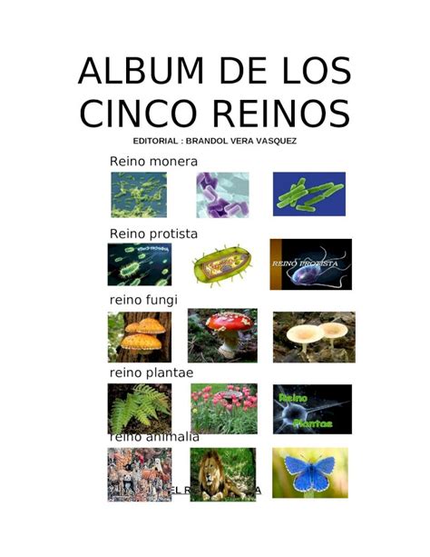 DOCX Album De Los Cinco Reinos DOKUMEN TIPS