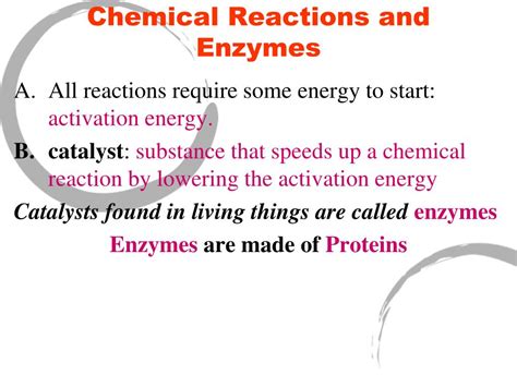 Ppt Enzymes Powerpoint Presentation Free Download Id2568854