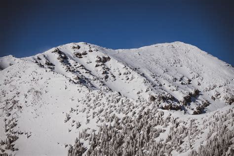 Over 200" of Snowfall this Season - Arizona Snowbowl