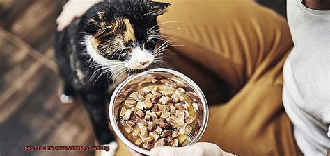 How To Make Your Own Cat Food