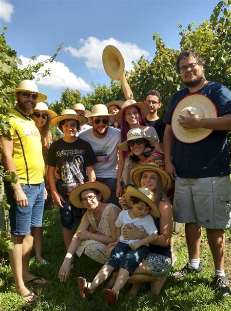 Vale dos Vinhedos em Bento Gonçalves fantástico Apure Guria