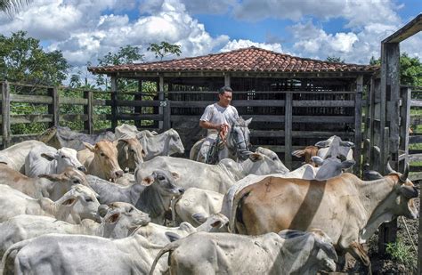 Ganaderos de Costa Rica se beneficiarán con una plataforma de recursos