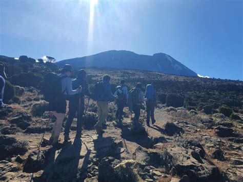 Days Kilimanjaro Climbing Marangu Route Getyourguide