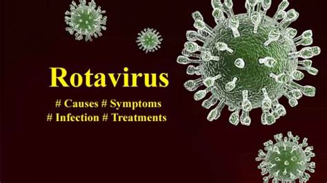 Rotavirus Classification Structure Composition And Properties