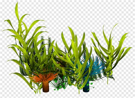 Unrestricted Underwater Plants Render Green Leafed Plants Png Pngegg