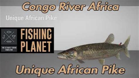 Fishing Planet Unique African Pike Congo River Africa Youtube