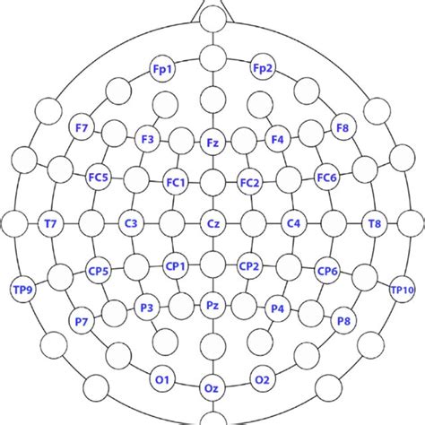 The 28 Electrode Eeg Electrode Recording Montage For A Single