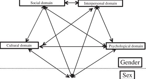 Sex Gender Concept The Arrows Express The Mutual Influence Of The