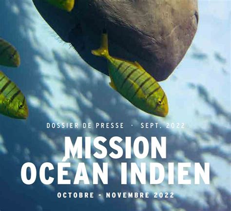 Mission OcÉan Indien Les Explorations De Monaco Institut