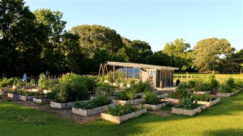 Community Garden