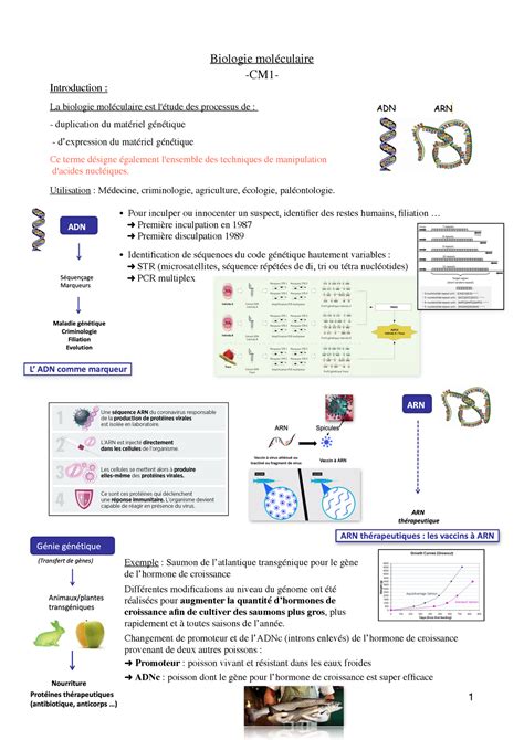 Chapitre Introduction Biologie Mol Culaire Cm Introduction La