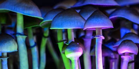 Psilocybin Magic Mushrooms Uses Effects Risks And How To Get Help