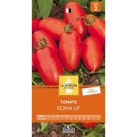 TOMATE ROMA VF