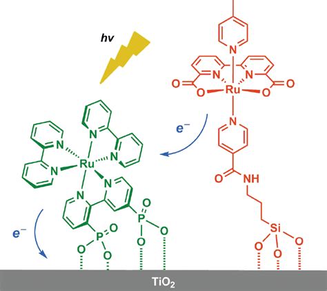 Visible Light Driven Water Oxidation Catalyzed By Ruthenium Complexes