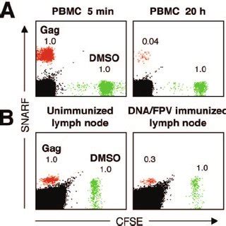 Induction Of Cd And Cd T Cell Immunity Shiv Specific T Cell