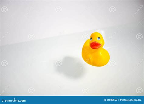 Rubber duck in bathtub stock image. Image of room, plastic - 31843559