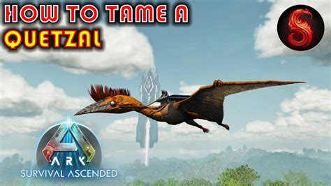 ARK SURVIVAL ASCENDED HOW TO TAME A QUETZAL YouTube