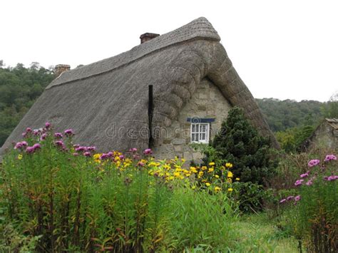 Thatched cottage stock photo. Image of mesh, flowers - 16845954