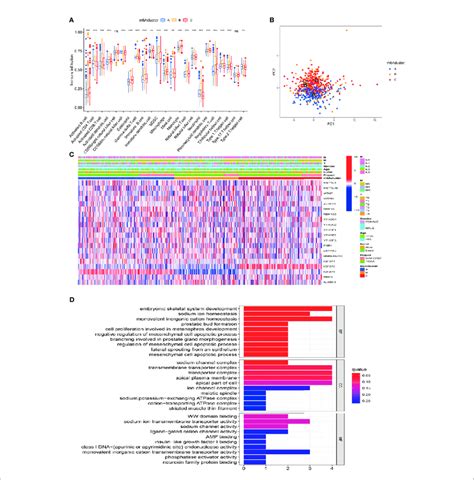 Characterization Of Tme Cell Infiltration And Transcriptome Features