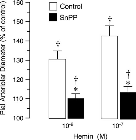 Effects Of Snpp On Cerebral Vascular Responses To Hemin Responses Of