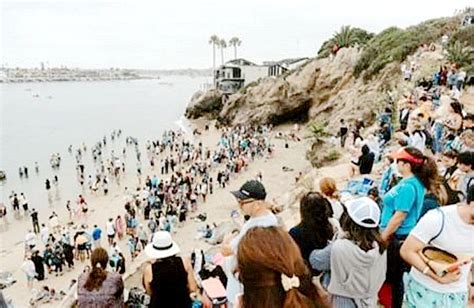 Jesus Revolution Baptism At California Beach Sees Over 2 000 Baptized